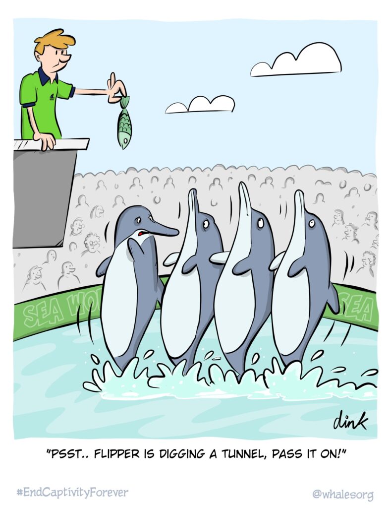 Cartoon for the Whale & Dolphin Conservation campaign to end captivity.